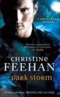 Dark Storm : Number 23 in series - eBook