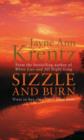 Sizzle And Burn : Number 3 in series - eBook