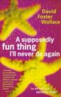 A Supposedly Fun Thing I'll Never Do Again - eBook