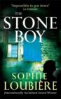 The Stone Boy - eBook