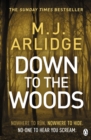 Down to the Woods : DI Helen Grace 8 - eBook