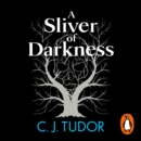 A Sliver of Darkness - eAudiobook