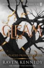 Gleam - Book