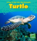 Sea Turtle - Book
