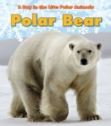Polar Bear - Book