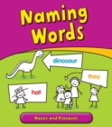 Naming Words : Nouns and Pronouns - eBook