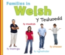 Families in Welsh: Y Teuluoedd - Book