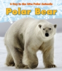 Polar Bear - eBook