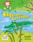 Big Green Crocodile - Book