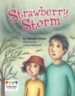 Strawberry Storm - Book