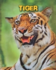 Tigers - eBook