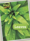 Leaves - Book