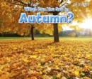What Can You See In Autumn? - Book