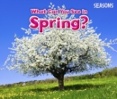 What Can You See In Spring? - Book