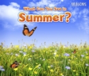 What Can You See In Summer? - eBook