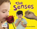 The Senses Pack of 6 - Book