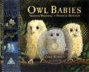 Owl Babies - Book