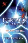 Triskellion 3 : The Gathering - eBook