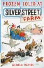 Frozen Solid at Silver Street Farm - Book