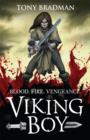 Viking Boy - eBook