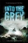 Into the Grey - eBook