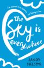 The Sky Is Everywhere - eBook