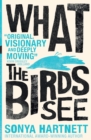 What the Birds See - eBook