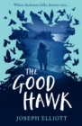 The Good Hawk (Shadow Skye, Book One) - Book