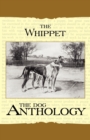 The Whippet - A Dog Anthology (A Vintage Dog Books Breed Classic) - Book