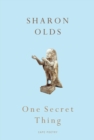 One Secret Thing - eBook