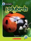 LADYBIRDS LIFE CYCLES - Book