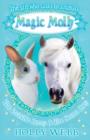 The Invisible Bunny and The Secret Pony - Book