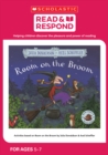 Room on the Broom - Book