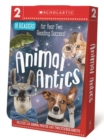 Animal Antics 16 Book Boxset - Book