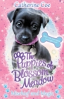 Mischief and Magic (Puppies of Blossom Meadow #2) - Book