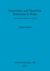 Palaeolithic and Mesolithic Settlement in Wales : with special reference to Dyfed - Book