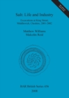 Salt: Life and industry. Excavations at King Street, Middlewich, Cheshire, 2001-2002 : Excavations at King Street, Middlewich, Cheshire, 2001-2002 - Book