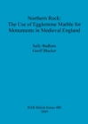 Northern Rock: The Use of Egglestone Marble for Monuments in Medieval England - Book