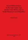 Social Differentiation in the Late Copper Age and the Early Bronze Age in South Moravia (Czech Republic) - Book