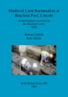 Medieval Land Reclamation at Brayford Pool Lincoln : Archaeological excavation at the Brayford Centre 2000 - Book