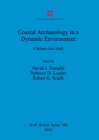 Coastal Archaeology in a Dynamic Environment : A Solent case study - Book