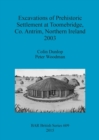 Excavations of Prehistoric Settlement at Toomebridge Co. Antrim Northern Ireland 2003 - Book