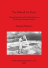 The Salt of the Earth : Ethnoarchaeology of Salt Production in Michoacan, Western Mexico - Book