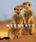 Meerkats - Book
