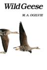 Estuary Birds of Britain and Ireland - Ogilvie M. A. Ogilvie