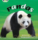Bug Club Phonics Non-fiction Set 09 Pandas - Book