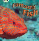 Bug Club Phonics - Phase 4 Unit 12: Fantastic Fish - Book