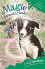 Magic Animal Friends: Evie Scruffypup's Big Surprise : Book 10 - Book