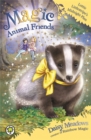 Magic Animal Friends: Lottie Littlestripe's Midnight Plan : Book 15 - Book