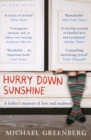 Hurry Down Sunshine : A father's memoir of love and madness - eBook